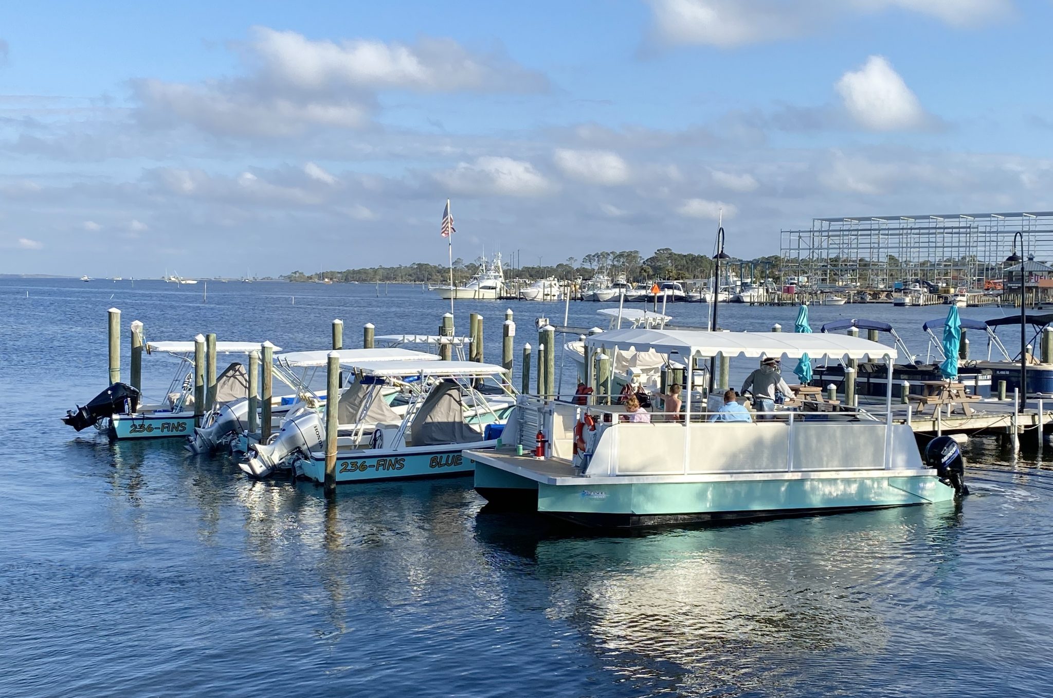 blue dolphin tours pcb fl